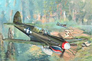 1/32 P-40N War Hawk - Hobby Sense