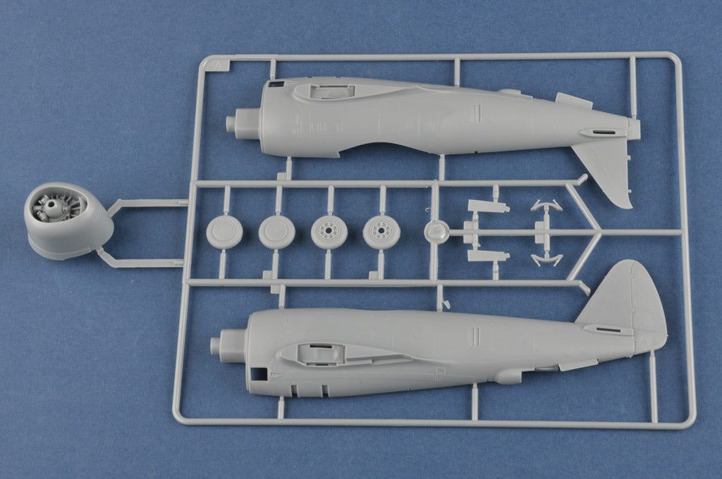 1/48 P-47D Thunderbolt Fighter - Hobby Sense