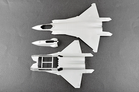 1/48 Chinese J20 Mighty Dragon - Hobby Sense