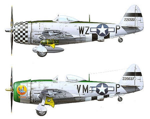 1/48 Republic P47D Thunderbolt Bubbletop - Hobby Sense