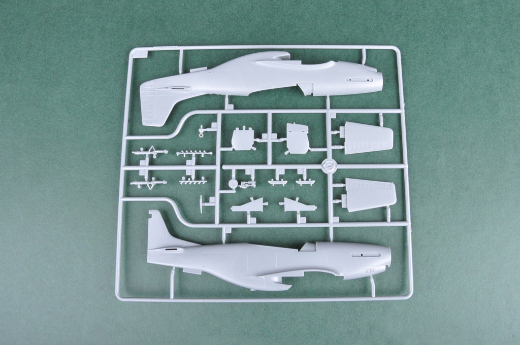1/48 P51D Mustang IV Fighter - Hobby Sense