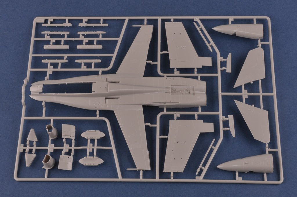 1/48 RAAF F/A-18C - Hobby Sense