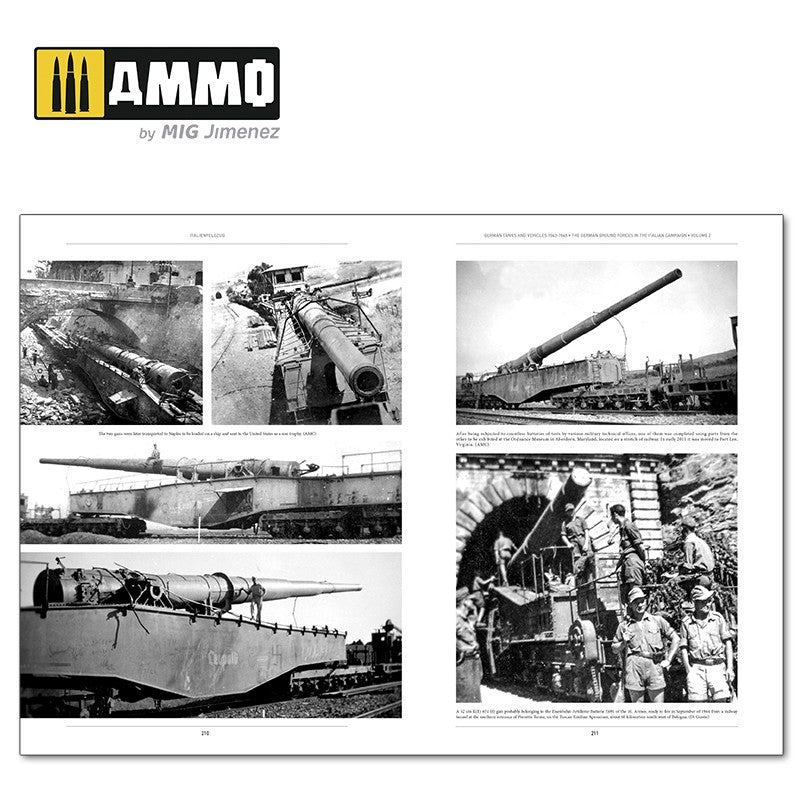 Italienfeldzug: German Tanks and Vehicles 1943-1945 Vol. 2 - Hobby Sense