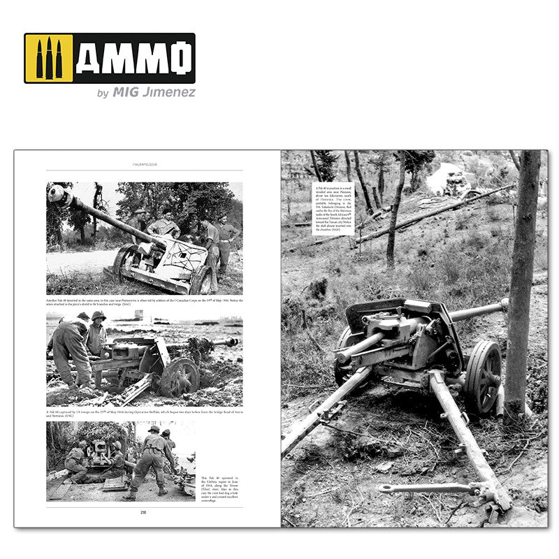 Italienfeldzug: German Tanks and Vehicles 1943-1945 Vol. 2 - Hobby Sense