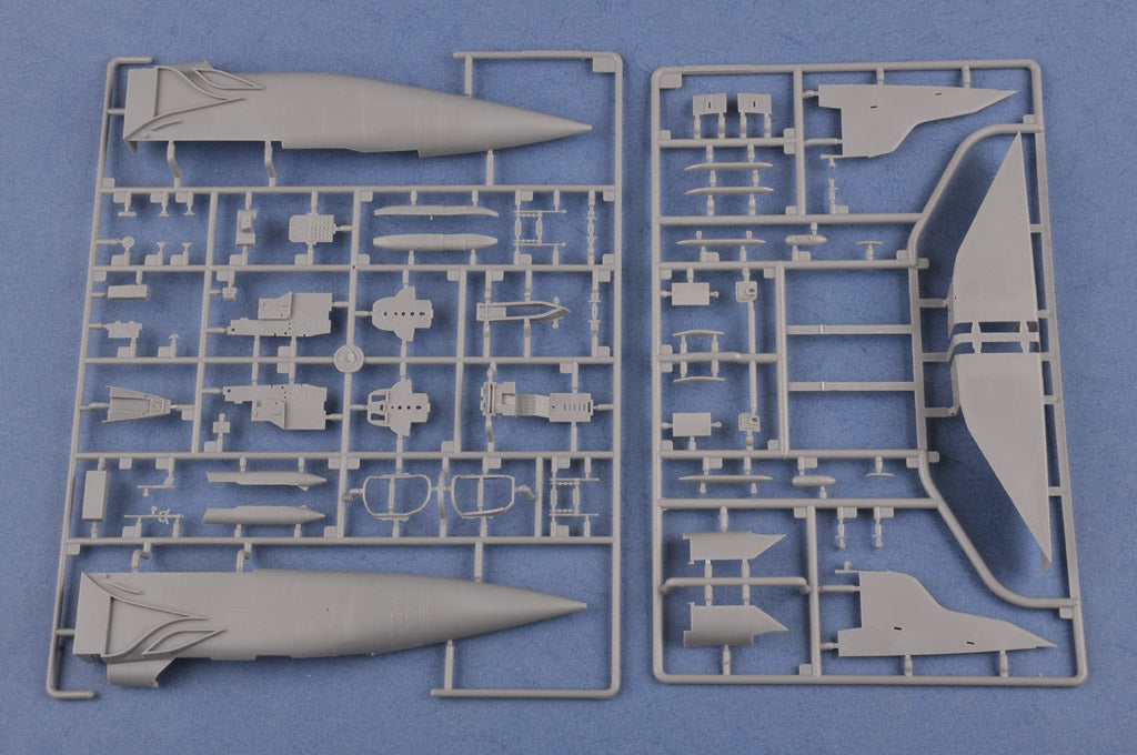 1/48 Russian MiG31 Foxhound - Hobby Sense