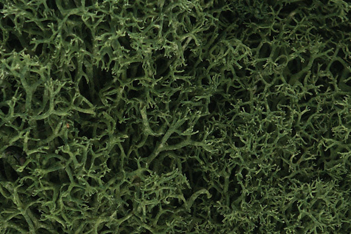 Woodland Scenics Lichen - Hobby Sense