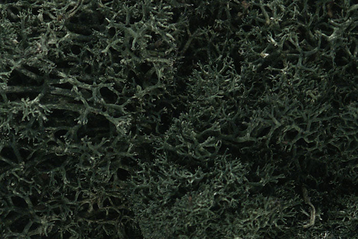 Woodland Scenics Lichen - Hobby Sense