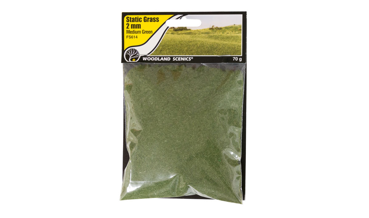 Woodland Scenics Static Grass - Hobby Sense