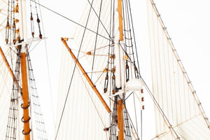 1/100 Bluenose II Canadian Schooner - Hobby Sense