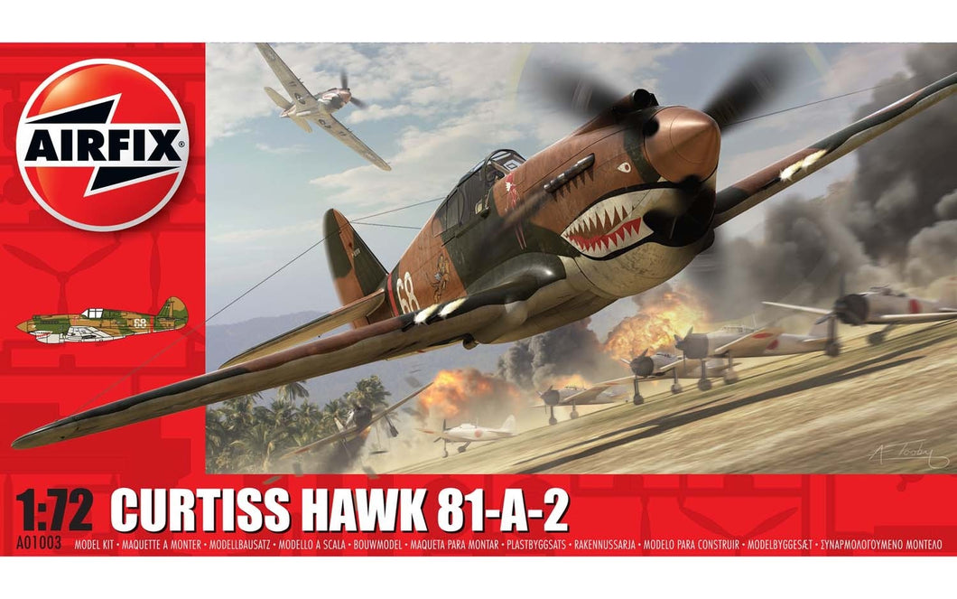 1/72 Curtiss Hawk 81-A-2 - Hobby Sense