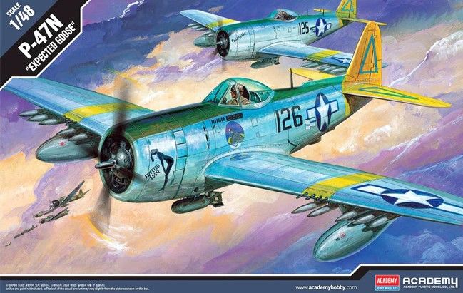 1/48 P47N Special, Expected Goose - Hobby Sense