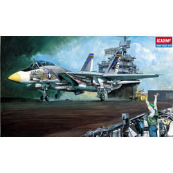 1/48 US Navy Fighter F14 A - Hobby Sense