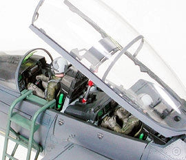1/32 Boeing F15E Strike Eagle w/Bunker Buster - Hobby Sense