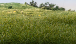 Woodland Scenics Static Grass - Hobby Sense