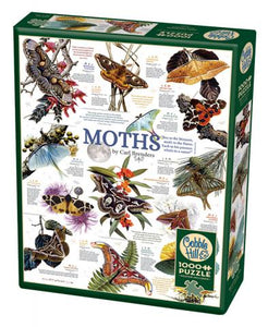 Moth Collection - Hobby Sense