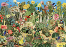 Cactus Garden - Hobby Sense