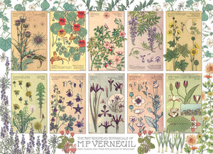 Botanicals by Verneuil - Hobby Sense