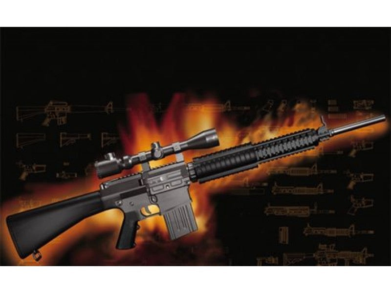 1/3 AR15/M16/M4 FAMILY-SR25 with Display Shelf - Hobby Sense