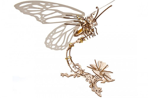 Butterfly - Hobby Sense
