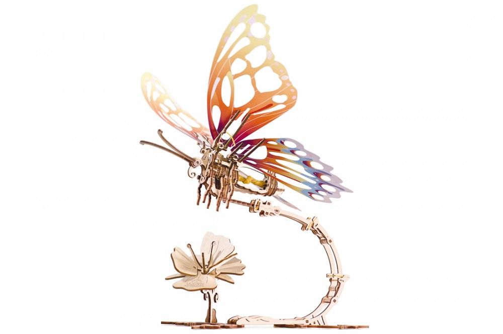 Butterfly - Hobby Sense